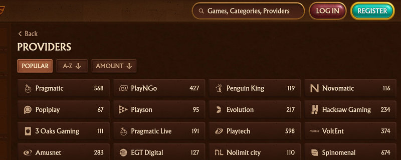 V kasinu AmunRa je k dispozici široká škála finančních možností